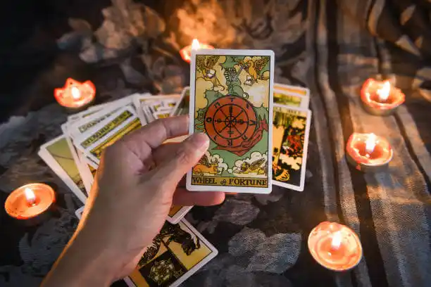 tarot cards Leesburg